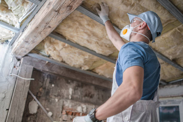 Best Specialized Insulation Services in Beaver Creek, TX
